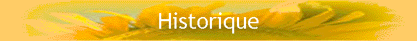 Historique