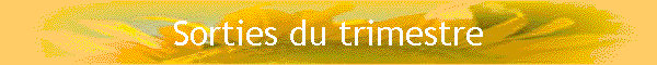 Les sorties du trimestre